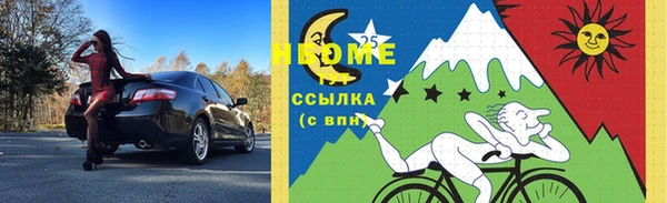 гидра Горняк