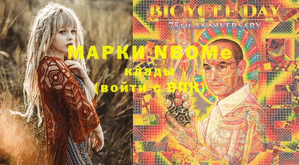 гидра Горняк