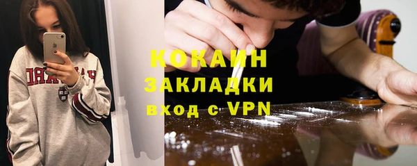гидра Горняк