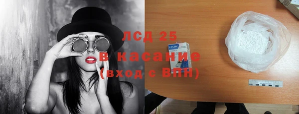 гидра Горняк