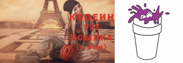 гидра Горняк