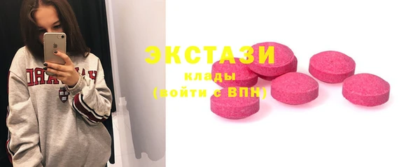 гидра Горняк