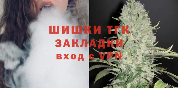 PSILOCYBIN Горно-Алтайск