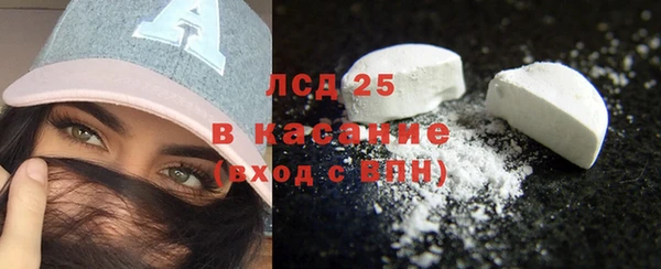 гидра Горняк