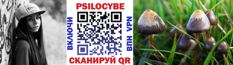 Купить где  Кашира  Псилоцибиновые грибы MAGIC MUSHROOMS 